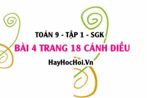 Bài 4 trang 18 Toán 9 tập 1 Cánh Diều